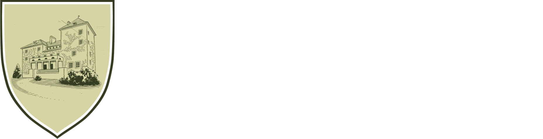 vetrov hotel logo